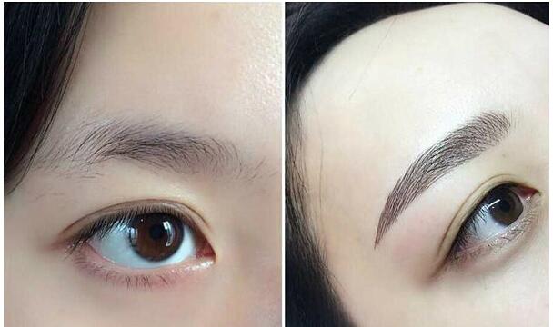 纹眉