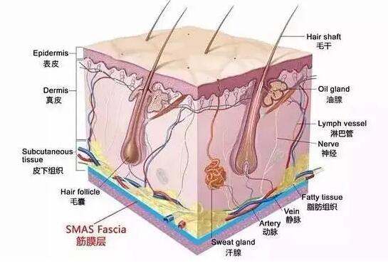 超声理疗仪